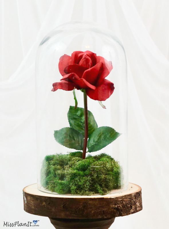 Beauty and the Beast Wedding Centerpiece 1-A