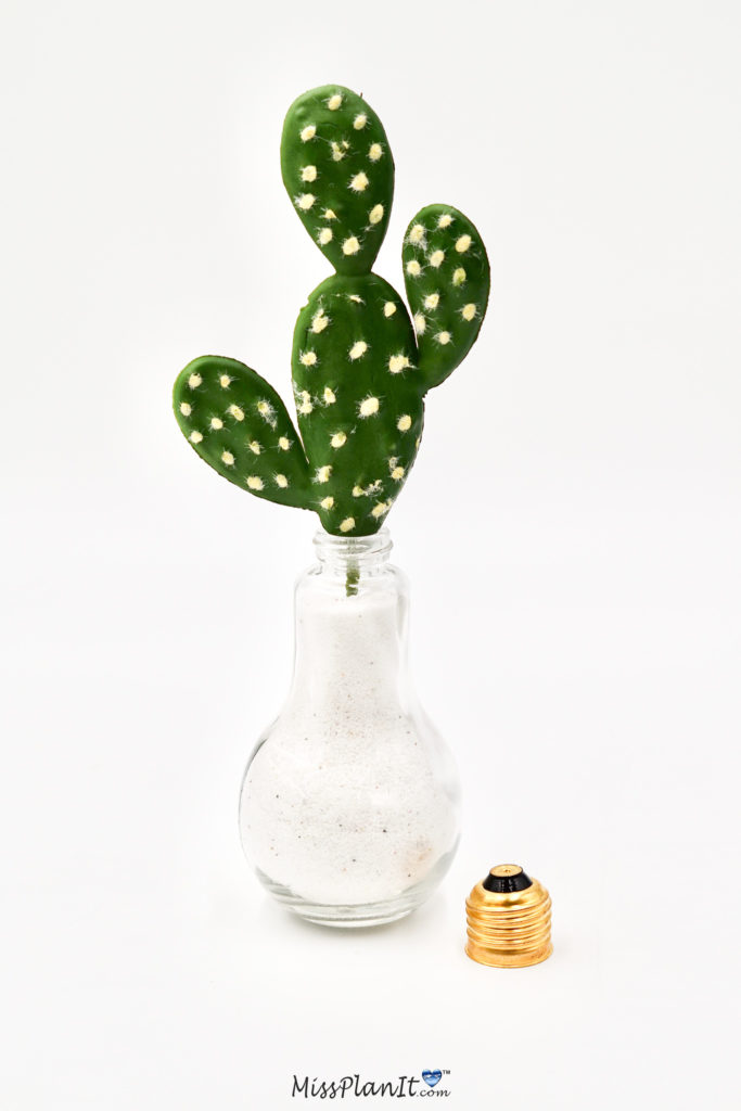 succulent decor